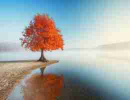 如‍何​自‌动﻿发‌送​微‍信​消﻿息​